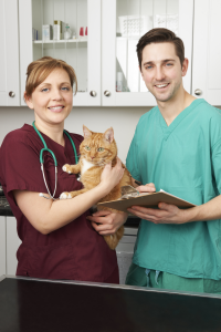 Veterinarians